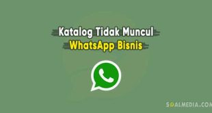 Penyebab katalog WhatsApp bisnis tidak muncul