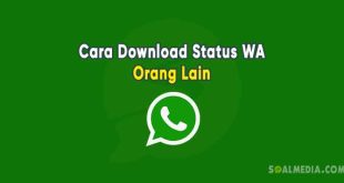 cara download status wa